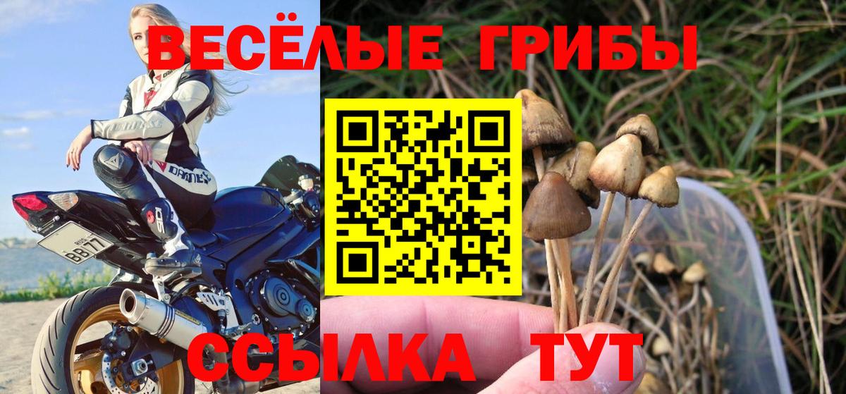 Галлюциногенные грибы GOLDEN TEACHER  Вход с VPN  Псилоцибиновые грибы мухоморы  Дубна 